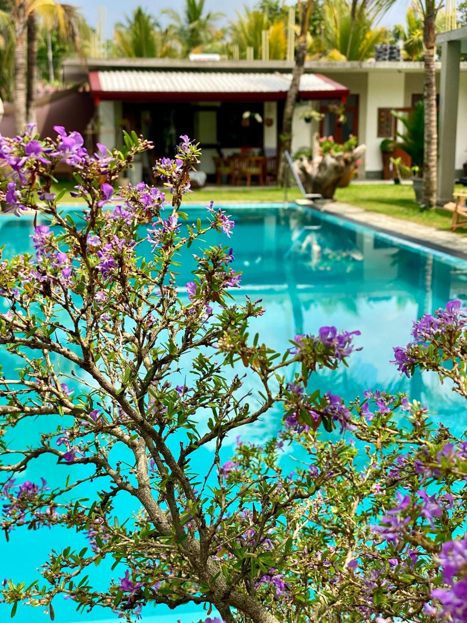 Sri Palms Bed & Breakfast Косгода Екстериор снимка